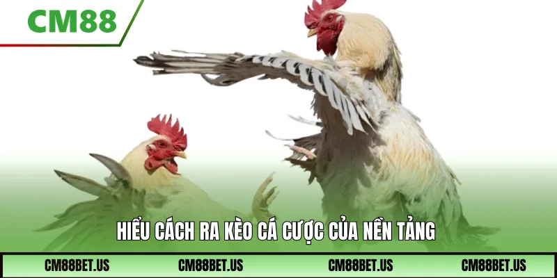 Tìm hiểu về Đá Gà Cm88
